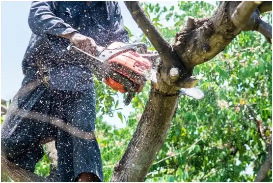 tree services Tigerville